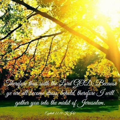 Picture 03 - Ezekiel 22:19 KJV - Therefore thus saith the Lord GOD; Because ye are - Bible Verse Picture