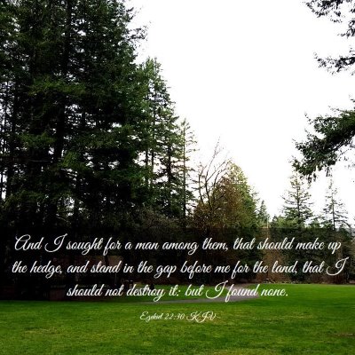 Picture 03 - Ezekiel 22:30 KJV - And I sought for a man among them, that should - Bible Verse Picture