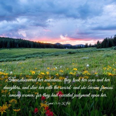 Picture 03 - Ezekiel 23:10 KJV - These discovered her nakedness: they took her - Bible Verse Picture