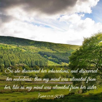 Picture 03 - Ezekiel 23:18 KJV - So she discovered her whoredoms, and discovered - Bible Verse Picture