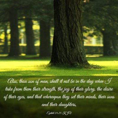 Picture 03 - Ezekiel 24:25 KJV - Also, thou son of man, shall it not be in the day - Bible Verse Picture
