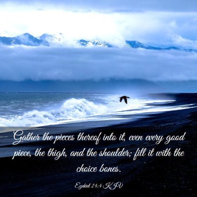 Picture 03 - Ezekiel 24:4 KJV - Gather the pieces thereof into it, even every - Bible Verse Picture