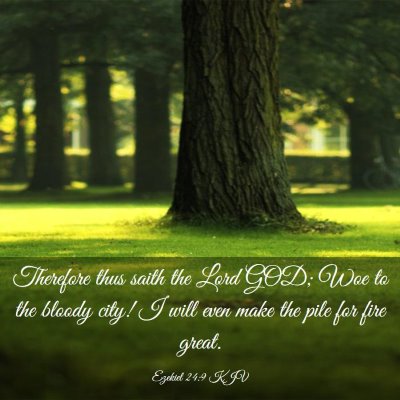 Picture 03 - Ezekiel 24:9 KJV - Therefore thus saith the Lord GOD; Woe to the - Bible Verse Picture