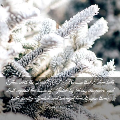 Picture 03 - Ezekiel 25:12 KJV - Thus saith the Lord GOD; Because that Edom hath - Bible Verse Picture