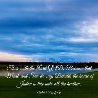 Picture 03 - Ezekiel 25:8 KJV - Thus saith the Lord GOD; Because that Moab and - Bible Verse Picture