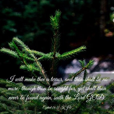 Picture 03 - Ezekiel 26:21 KJV - I will make thee a terror, and thou shalt be no - Bible Verse Picture