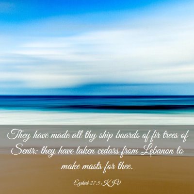 Picture 03 - Ezekiel 27:5 KJV - They have made all thy ship boards of fir trees - Bible Verse Picture