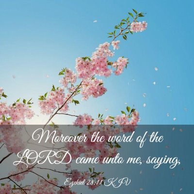 Picture 03 - Ezekiel 28:11 KJV - Moreover the word of the LORD came unto me, - Bible Verse Picture