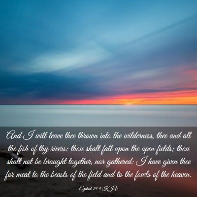Picture 03 - Ezekiel 29:5 KJV - And I will leave thee thrown into the wilderness, - Bible Verse Picture
