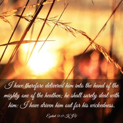 Picture 03 - Ezekiel 31:11 KJV - I have therefore delivered him into the hand of - Bible Verse Picture