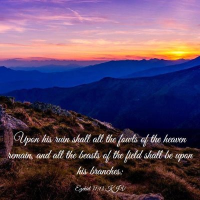 Picture 03 - Ezekiel 31:13 KJV - Upon his ruin shall all the fowls of the heaven - Bible Verse Picture