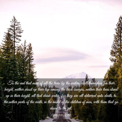 Picture 03 - Ezekiel 31:14 KJV - To the end that none of all the trees by the - Bible Verse Picture
