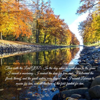 Picture 03 - Ezekiel 31:15 KJV - Thus saith the Lord GOD; In the day when he went - Bible Verse Picture
