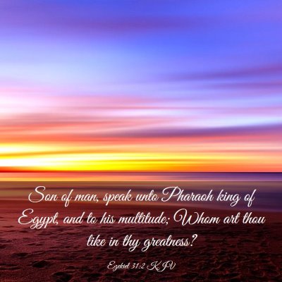 Picture 03 - Ezekiel 31:2 KJV - Son of man, speak unto Pharaoh king of Egypt, and - Bible Verse Picture