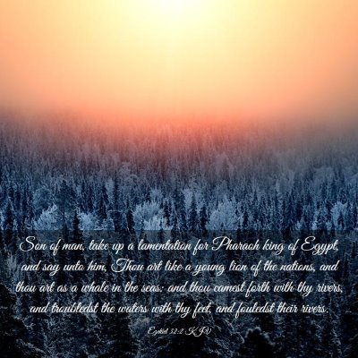 Picture 03 - Ezekiel 32:2 KJV - Son of man, take up a lamentation for Pharaoh - Bible Verse Picture