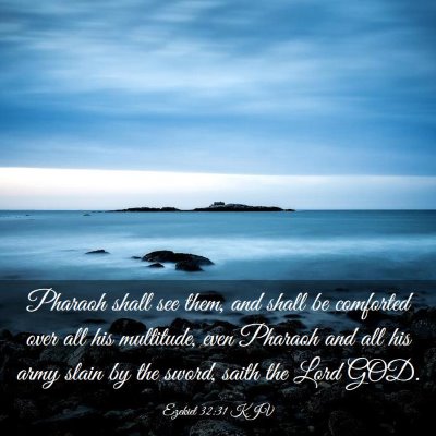 Picture 03 - Ezekiel 32:31 KJV - Pharaoh shall see them, and shall be comforted - Bible Verse Picture