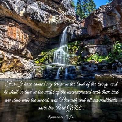 Picture 03 - Ezekiel 32:32 KJV - For I have caused my terror in the land of the - Bible Verse Picture