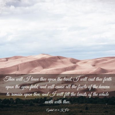 Picture 03 - Ezekiel 32:4 KJV - Then will I leave thee upon the land, I will cast - Bible Verse Picture
