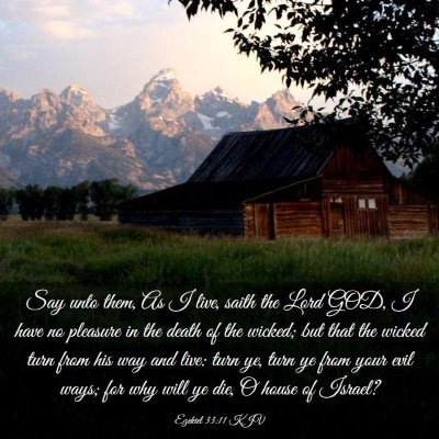 Picture 03 - Ezekiel 33:11 KJV - Say unto them, As I live, saith the Lord GOD, I - Bible Verse Picture