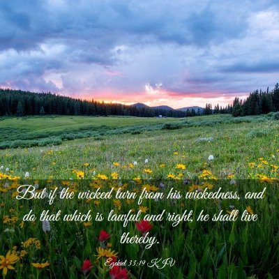 Picture 03 - Ezekiel 33:19 KJV - But if the wicked turn from his wickedness, and - Bible Verse Picture