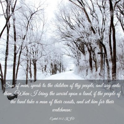 Picture 03 - Ezekiel 33:2 KJV - Son of man, speak to the children of thy people, - Bible Verse Picture