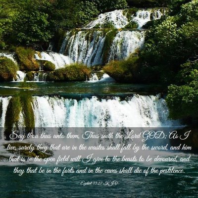 Picture 03 - Ezekiel 33:27 KJV - Say thou thus unto them, Thus saith the Lord GOD; - Bible Verse Picture