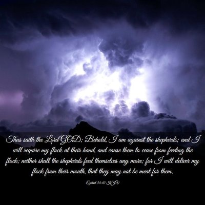 Picture 03 - Ezekiel 34:10 KJV - Thus saith the Lord GOD; Behold, I am against the - Bible Verse Picture