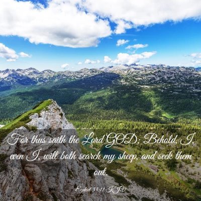 Picture 03 - Ezekiel 34:11 KJV - For thus saith the Lord GOD; Behold, I, even I, - Bible Verse Picture