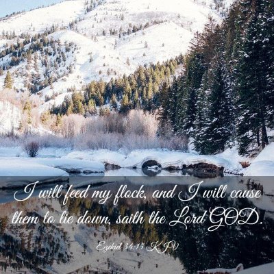 Picture 03 - Ezekiel 34:15 KJV - I will feed my flock, and I will cause them to - Bible Verse Picture