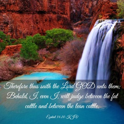 Picture 03 - Ezekiel 34:20 KJV - Therefore thus saith the Lord GOD unto them; - Bible Verse Picture