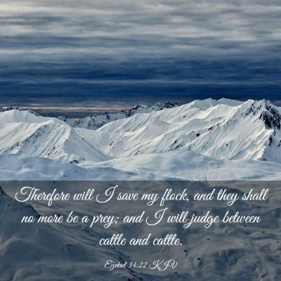 Picture 03 - Ezekiel 34:22 KJV - Therefore will I save my flock, and they shall no - Bible Verse Picture
