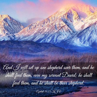 Picture 03 - Ezekiel 34:23 KJV - And I will set up one shepherd over them, and he - Bible Verse Picture