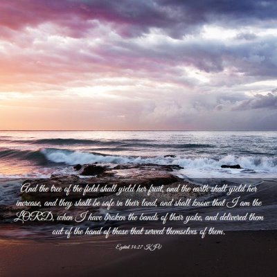 Picture 03 - Ezekiel 34:27 KJV - And the tree of the field shall yield her fruit, - Bible Verse Picture