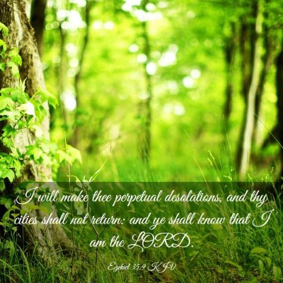 Picture 03 - Ezekiel 35:9 KJV - I will make thee perpetual desolations, and thy - Bible Verse Picture