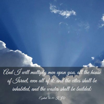 Picture 03 - Ezekiel 36:10 KJV - And I will multiply men upon you, all the house - Bible Verse Picture