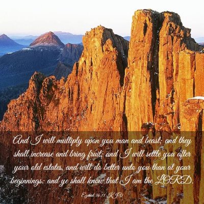 Picture 03 - Ezekiel 36:11 KJV - And I will multiply upon you man and beast; and - Bible Verse Picture