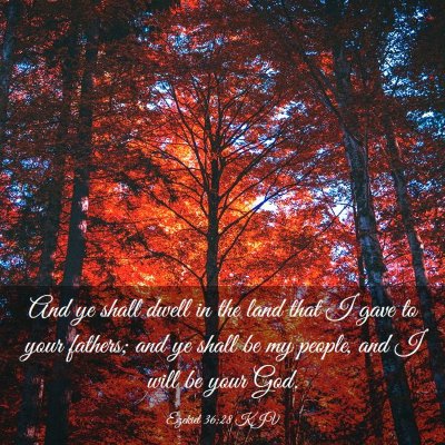Picture 03 - Ezekiel 36:28 KJV - And ye shall dwell in the land that I gave to - Bible Verse Picture