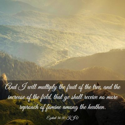 Picture 03 - Ezekiel 36:30 KJV - And I will multiply the fruit of the tree, and - Bible Verse Picture