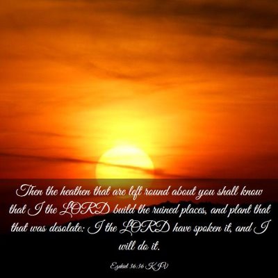 Picture 03 - Ezekiel 36:36 KJV - Then the heathen that are left round about you - Bible Verse Picture