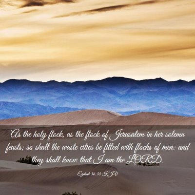 Picture 03 - Ezekiel 36:38 KJV - As the holy flock, as the flock of Jerusalem in - Bible Verse Picture