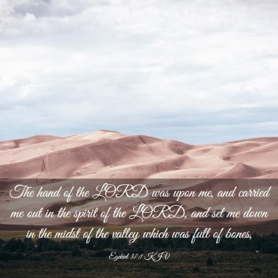 Picture 03 - Ezekiel 37:1 KJV - The hand of the LORD was upon me, and carried me - Bible Verse Picture