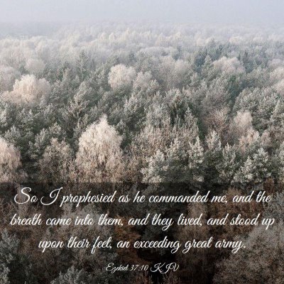 Picture 03 - Ezekiel 37:10 KJV - So I prophesied as he commanded me, and the - Bible Verse Picture