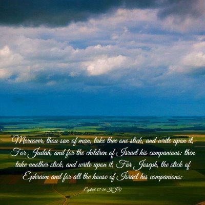 Picture 03 - Ezekiel 37:16 KJV - Moreover, thou son of man, take thee one stick, - Bible Verse Picture