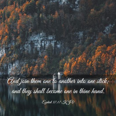 Picture 03 - Ezekiel 37:17 KJV - And join them one to another into one stick; and - Bible Verse Picture