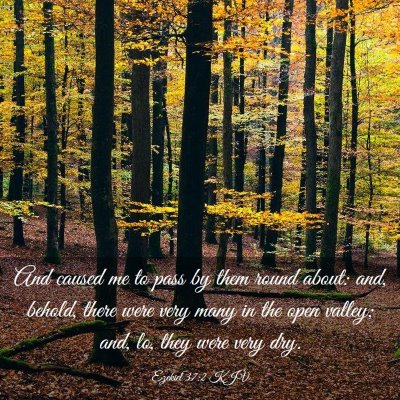 Picture 03 - Ezekiel 37:2 KJV - And caused me to pass by them round about: and, - Bible Verse Picture