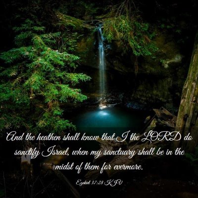 Picture 03 - Ezekiel 37:28 KJV - And the heathen shall know that I the LORD do - Bible Verse Picture