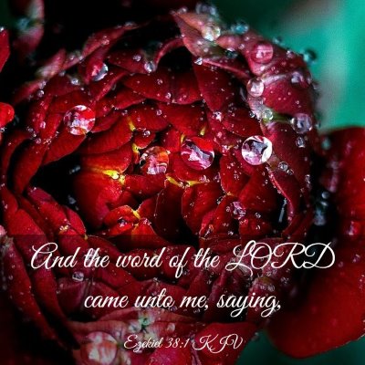 Picture 03 - Ezekiel 38:1 KJV - And the word of the LORD came unto me, - Bible Verse Picture