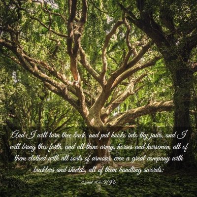 Picture 03 - Ezekiel 38:4 KJV - And I will turn thee back, and put hooks into thy - Bible Verse Picture
