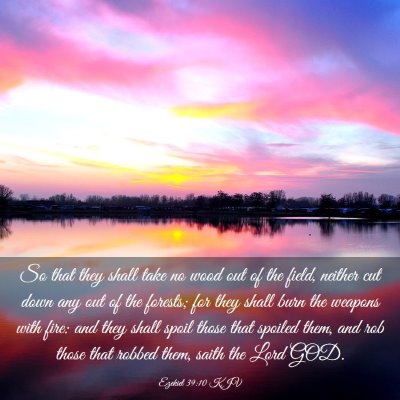 Picture 03 - Ezekiel 39:10 KJV - So that they shall take no wood out of the field, - Bible Verse Picture