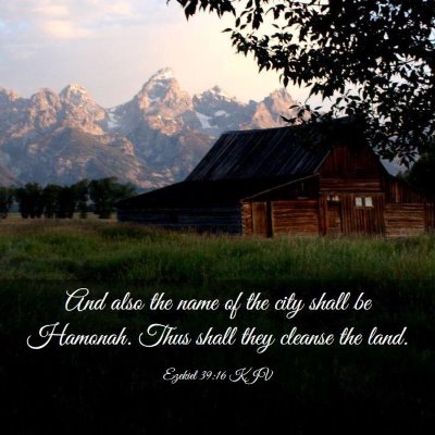 Picture 03 - Ezekiel 39:16 KJV - And also the name of the city shall be Hamonah. - Bible Verse Picture